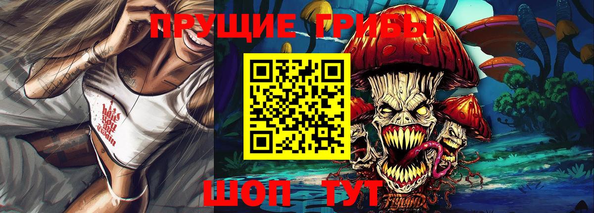 Псилоцибиновые грибы GOLDEN TEACHER Каспийск