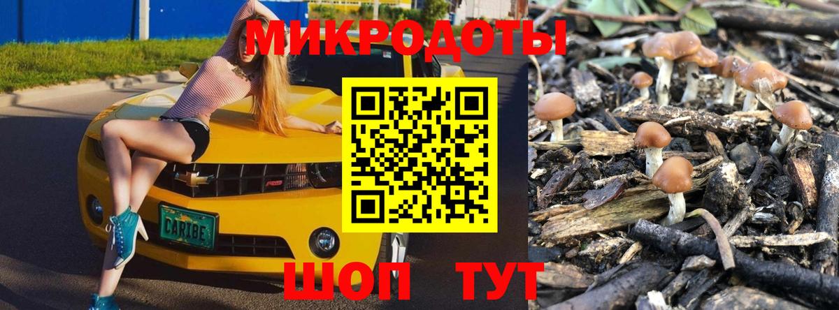 Каспийск  Галлюциногенные грибы мухоморы  Вход с VPN 
